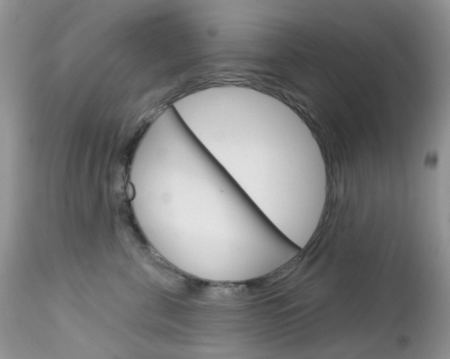X0000113120571200908281045