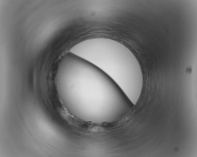 X0000113120572200908281045