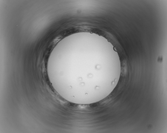 X0000113120573200908281045