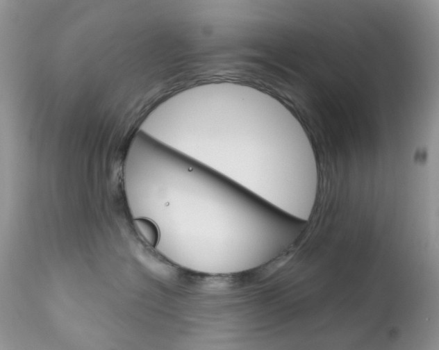 X0000113120574200908281045