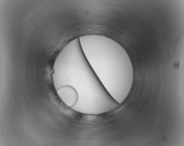 X0000113120575200908281045