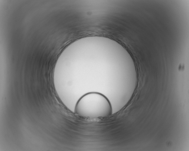 X0000113120576200908281045