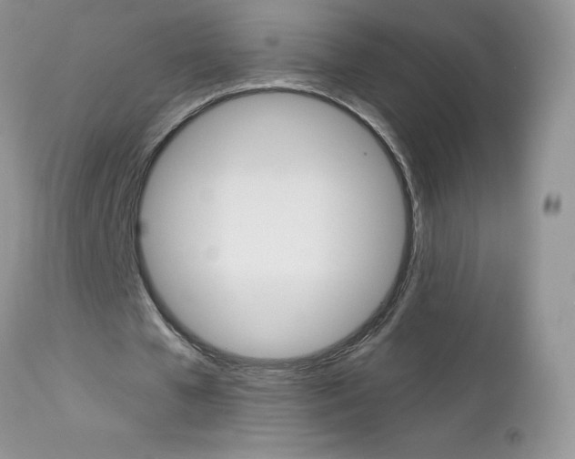 X0000113120577200908281044