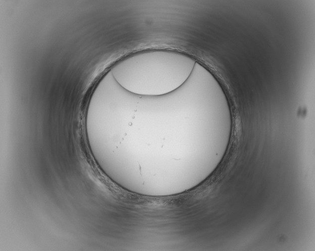 X0000113120578200908281044