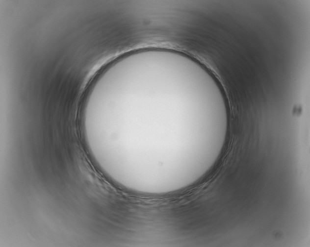 X0000113120579200908281044