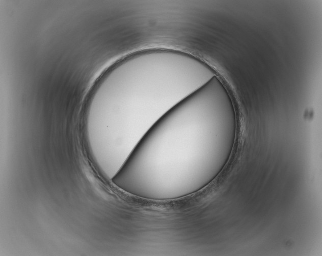 X0000113120580200908281044