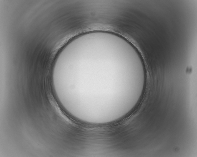 X0000113120581200908281044
