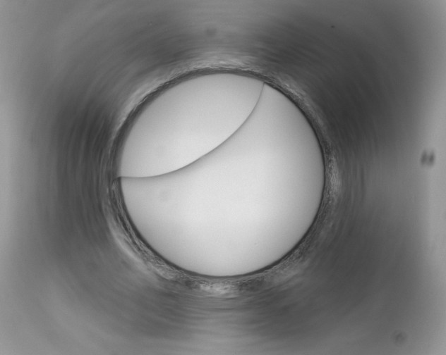 X0000113120582200908281044