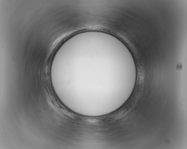 X0000113120583200908281044