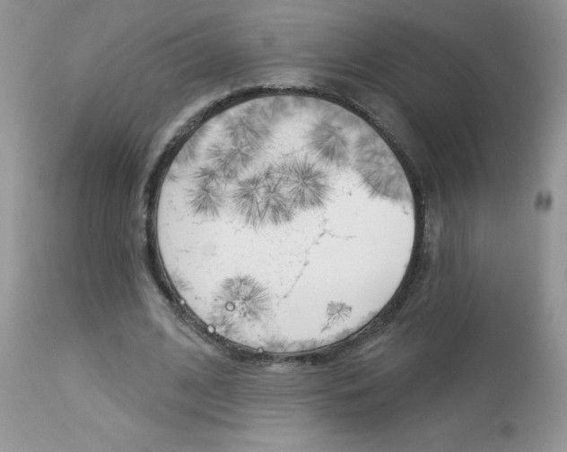 X0000113120584200908281044