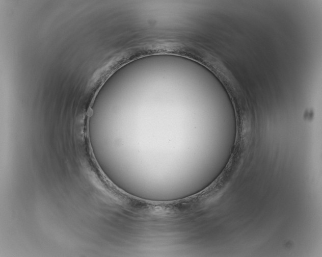 X0000113120585200908281044