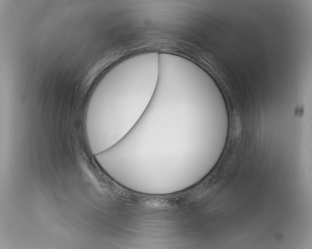 X0000113120586200908281044