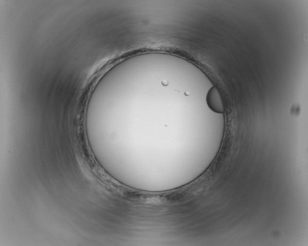 X0000113120587200908281044
