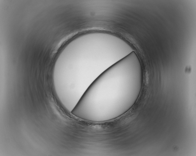X0000113120588200908281044