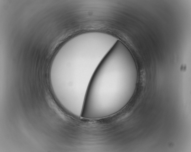 X0000113120589200908281044