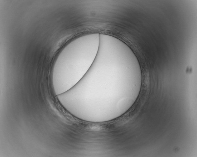 X0000113120590200908281044