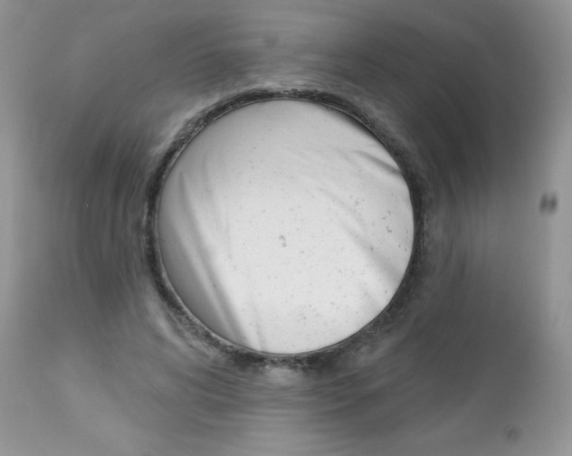 X0000113120592200908281044