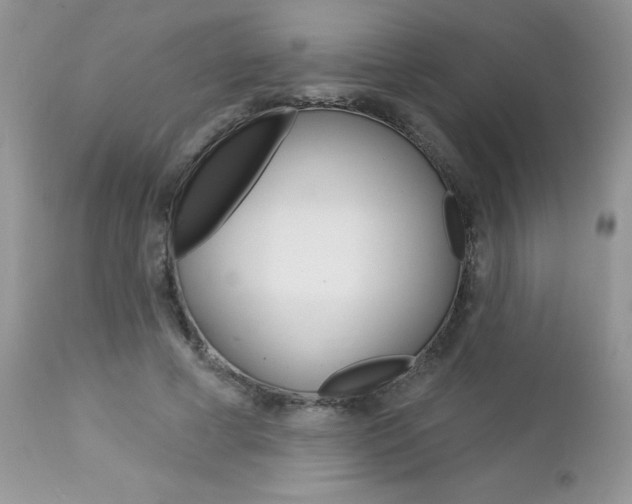 X0000113120593200908281044
