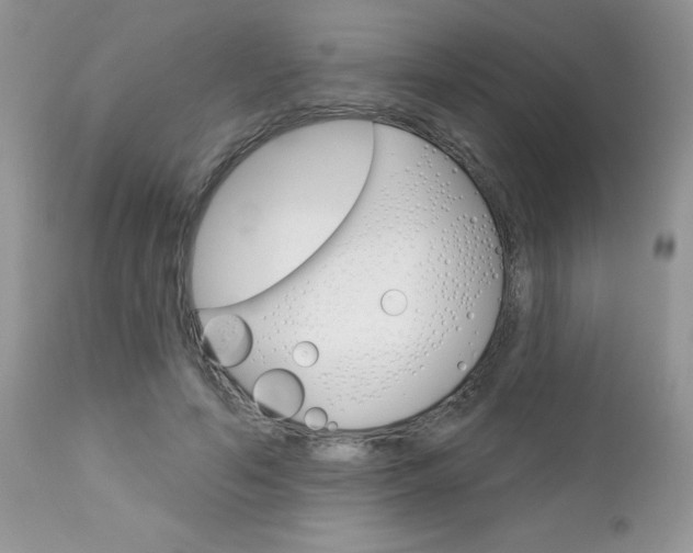 X0000113120594200908281044