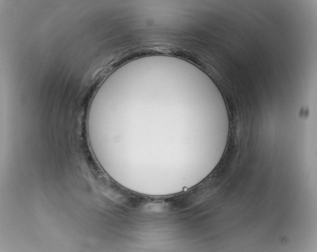 X0000113120595200908281044