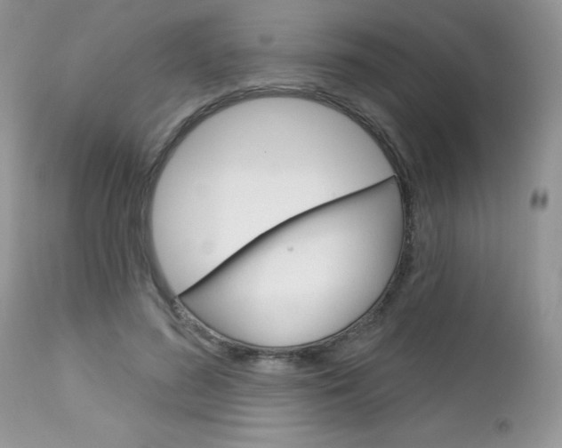 X0000113120596200908281044
