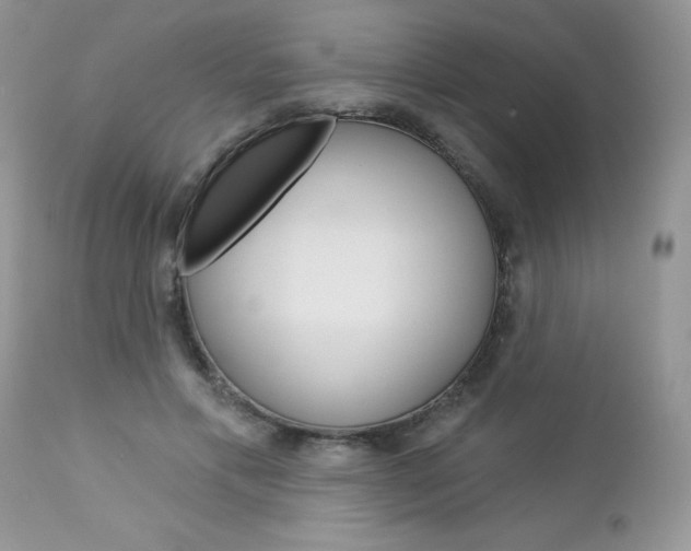 X0000113120597200908281044