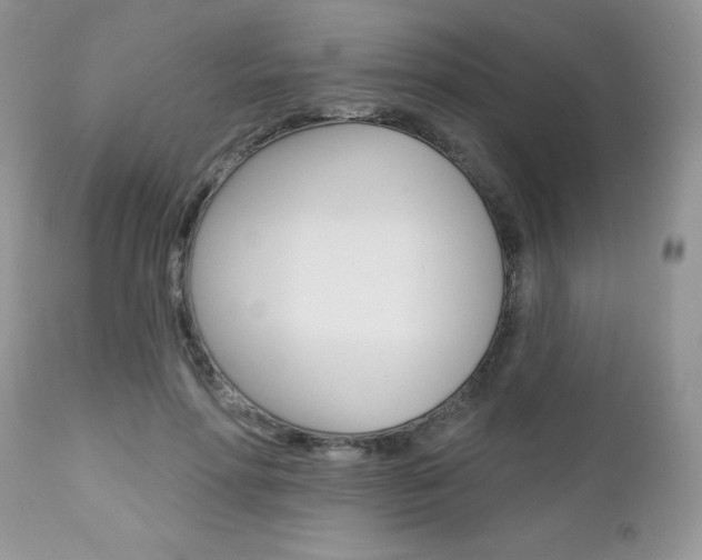 X0000113120598200908281044
