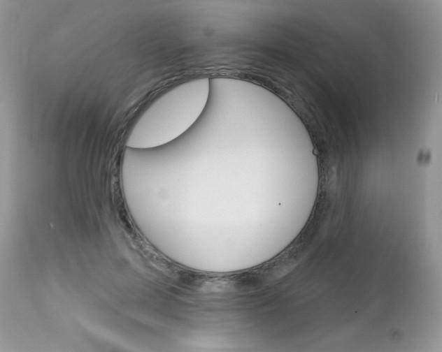 X0000113120599200908281044