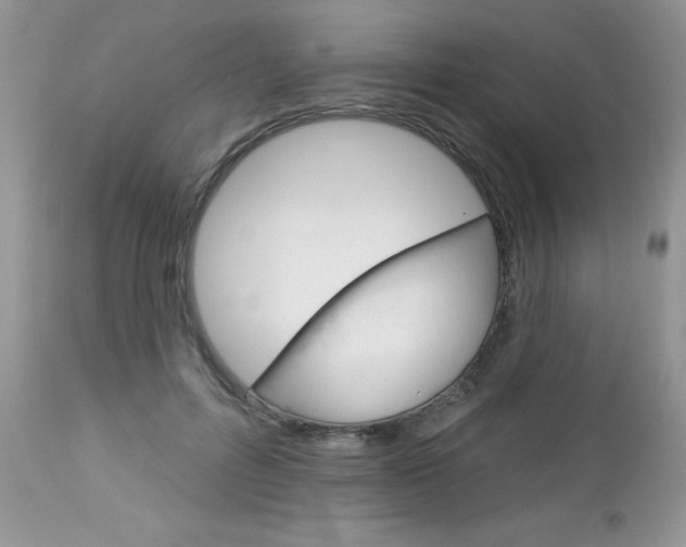 X0000113120600200908281044