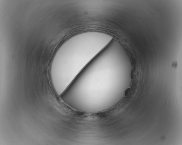 X0000113120601200908281044