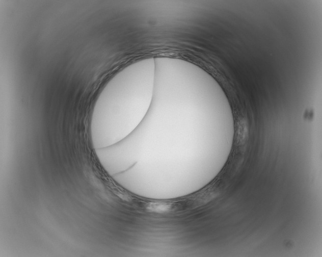 X0000113120602200908281044