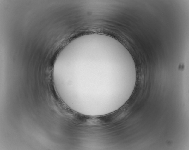 X0000113120603200908281044