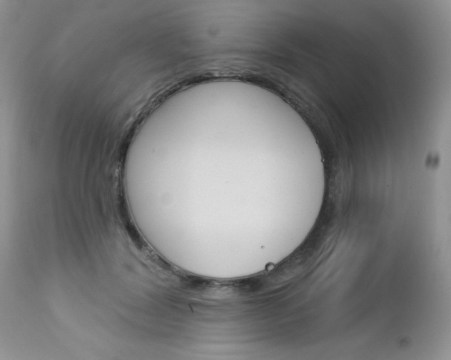 X0000113120604200908281044