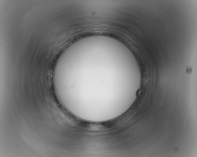 X0000113120605200908281044