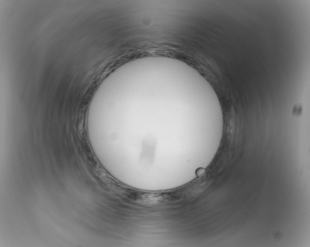 X0000113120607200908281044