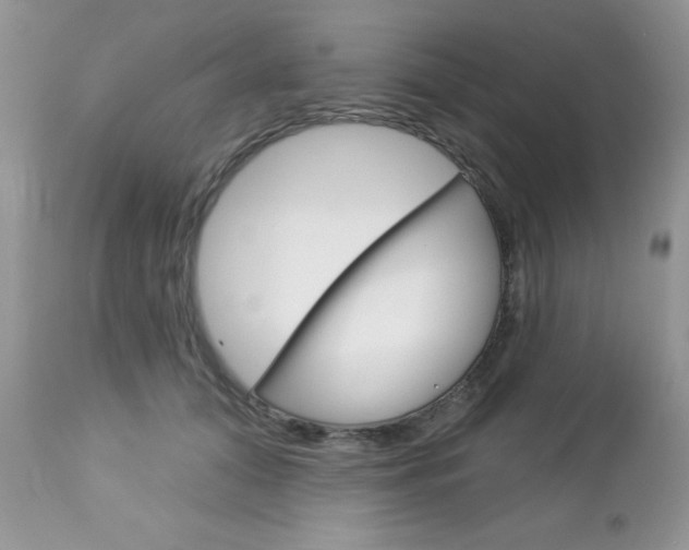 X0000113120608200908281044