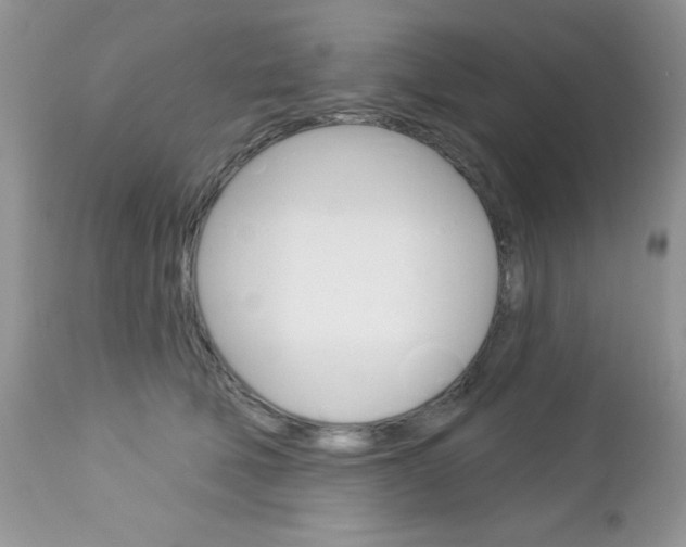 X0000113120610200908281044
