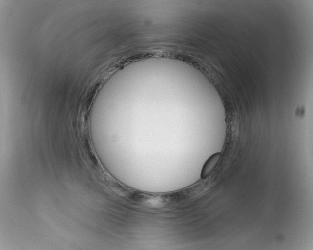 X0000113120611200908281044