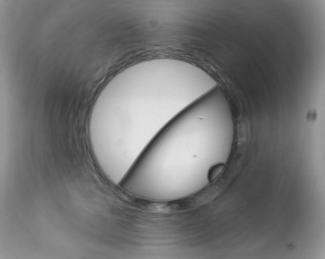 X0000113120613200908281044