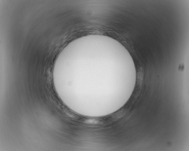 X0000113120614200908281044