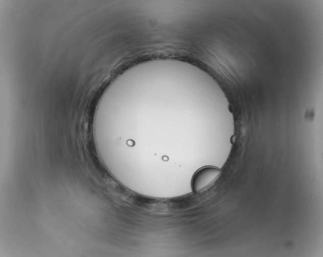 X0000113120615200908281044