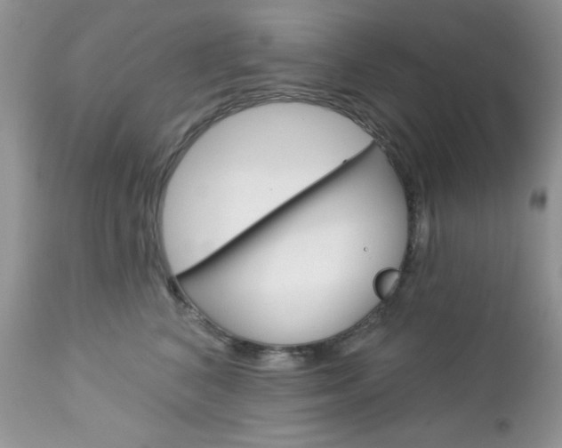 X0000113120616200908281044