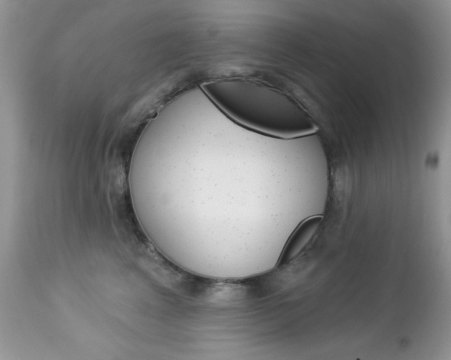 X0000113120617200908281044