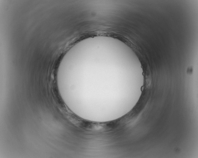 X0000113120618200908281044