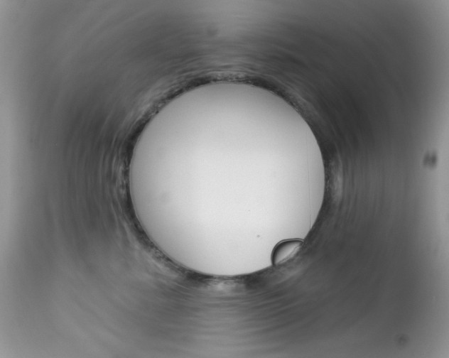 X0000113120619200908281044