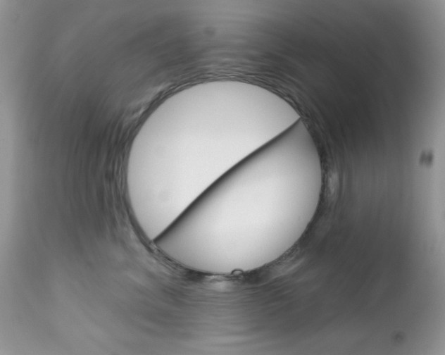 X0000113120620200908281044
