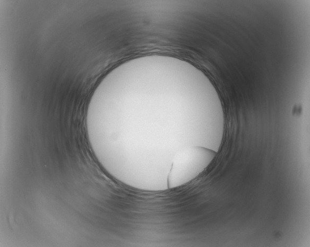 X0000113120621200908281044