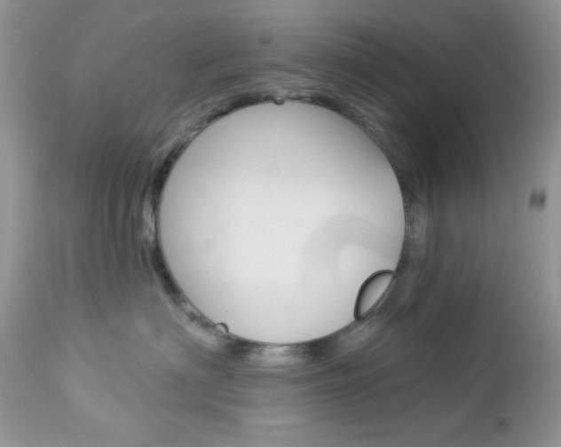 X0000113120622200908281044