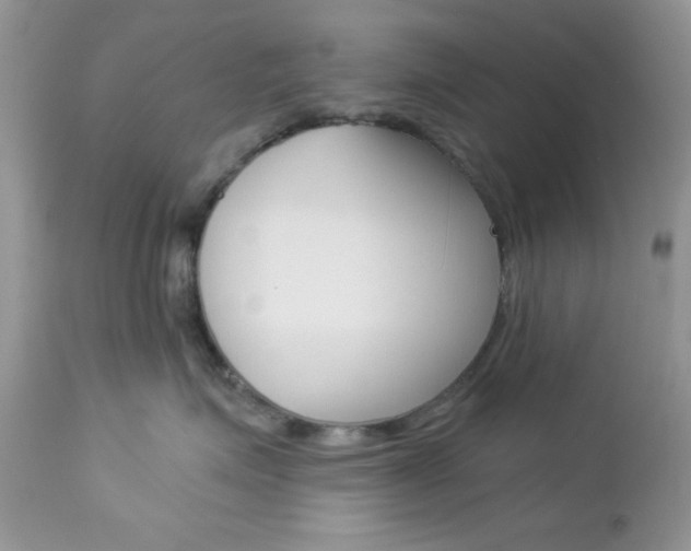 X0000113120623200908281044