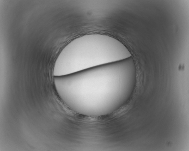 X0000113120624200908281044